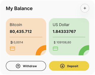 Sokół Kapitrost automated trading solution — dashboard overview